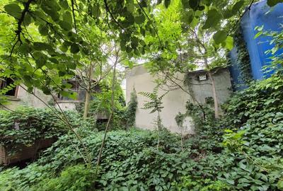 TEREN DE VANZARE - COTROCENI - 4