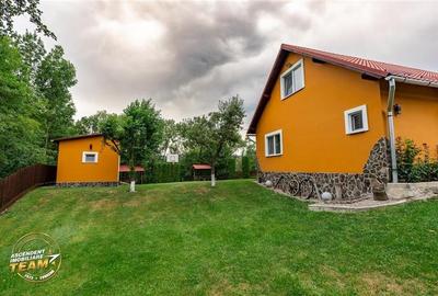 FILM&3D! Doua case cu:piscina,foisor,arbori decorativi,1.700mp teren,Lutoasa,Cov - 18