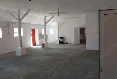 Spațiu comercial, de 250 mp, în Moșnița Nouă - 8