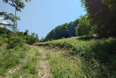 Teren montan cu priveliste si izvor - 5727mp in Buces, langa padure - 5
