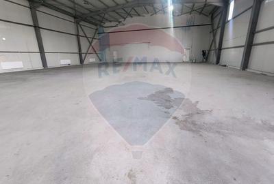 Spațiu industrial, de 800 mp, în Central - 10