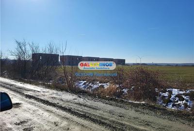 Teren Construcții intravilan de 25000 mp, în Corbeanca - 4