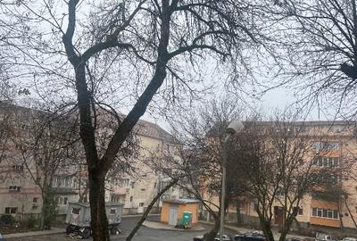 Apartament cu 3 camere decomandat în Lipovei - 13