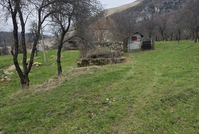 Casă cu 3 camere în Costești - 1