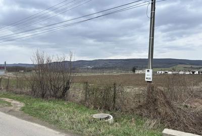 Teren de 720 mp, în Plavia - 1