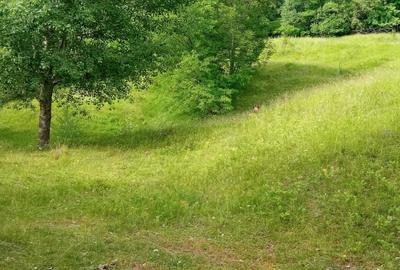 Teren Construcții intravilan de 5011 mp, în Nord-Vest - 3