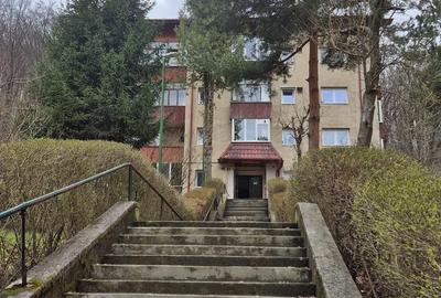 Apartament cu 3 camere nedecomandat în Răcădău - 3