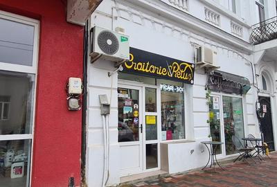 Spatii comerciale in vila Hala Traian - 2