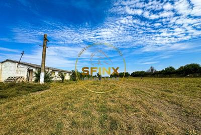 Chiselet, Calarasi, teren intravilan cu potential de investitie 62000 mp - 10