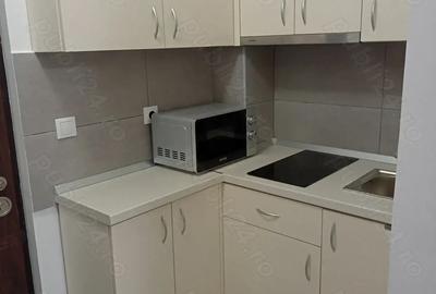 Garsonieră nedecomandată în Vasile Aaron - 3