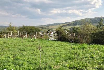 Teren de 6200 mp, în Mogoșești - 14