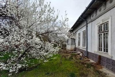 Teren Construcții intravilan de 1428 mp, în Vitan