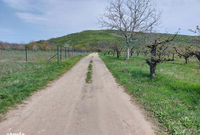 Spațiu comercial, în Viforâta - 7