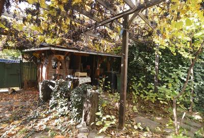 Garsoniera Baba Novac | Curte Proprie | Localizare Extraordinara - 5