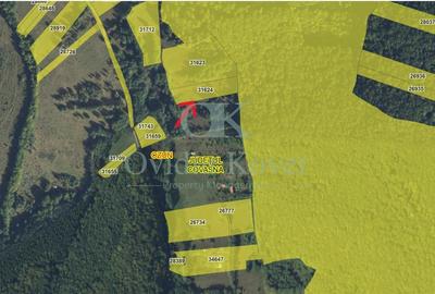 Teren agricol extravilan de 5500 mp, în Lisnău-Vale - 1