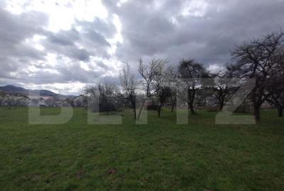 Casa 80mp, teren 7500mp , intravilan, zona Valea Bargaului - 7