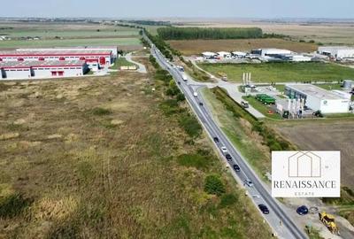 Teren de 55000 mp, în Sânandrei - 8