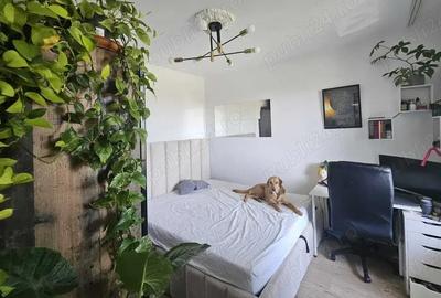 Apartament 2 camere Circumvalatiunii confort II amenajat - 2