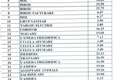 Spatiu comercial de 380 mp utili si teren 683 mp zona Terezian Sibiu - 10