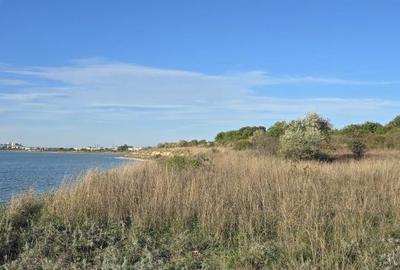 Spațiu comercial, în Sud - 5