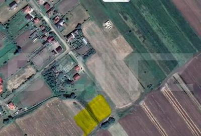 Teren de 4400 mp, în Est