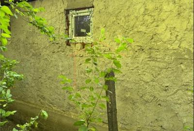 Casa Bogza Sihlea - 8