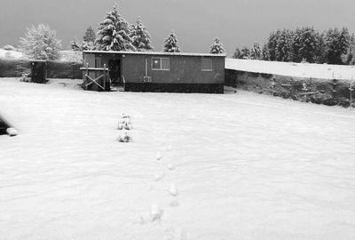 Teren la munte, priveliste superbă, zonă retrasă, casa mobila 80mp, CV - 2