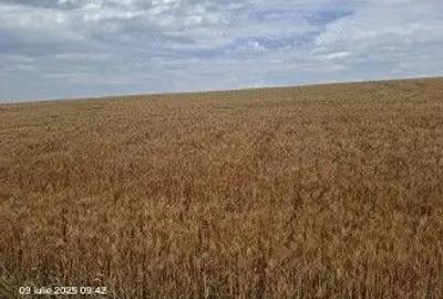 Teren Extravilan Pribesti, ID: R2774827 - 9