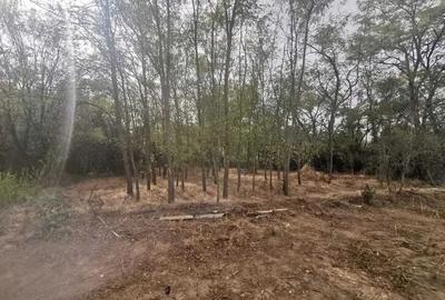 Teren 5.500 mp - Peris, langa padure | Ideal pentru dezvoltare imobiliara | Desc - 5