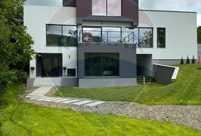 Proprietate specială, de 280 mp, în Almaș - 55