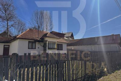 Casă cu 4 camere cu Teren 1615 Mp în Central - 4