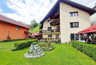 Tu 3D! Pensiune in areal pretios, Moieciu, Bran, Brasov - 21