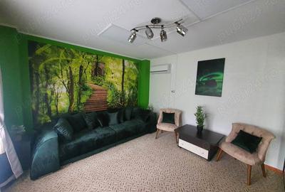 Casa de vacanta sau investitie - 3