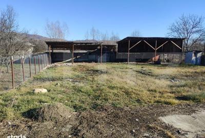 Casă cu 6 camere cu Teren 1681 Mp în Vulcana-Băi - 8