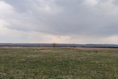 Spațiu comercial, în Dănești - 6