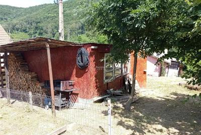 Anina, Sigismund, Casa 4 Incaperi, 1439mp Teren, ZERO Comision - 18