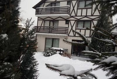 Vila la munte in Busteni - 8
