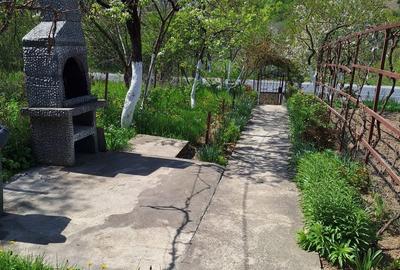 Casă cu 4 camere în Bejan - 5