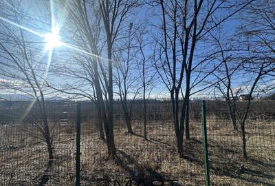 Teren de 50157 mp, în Bartolomeu - 4