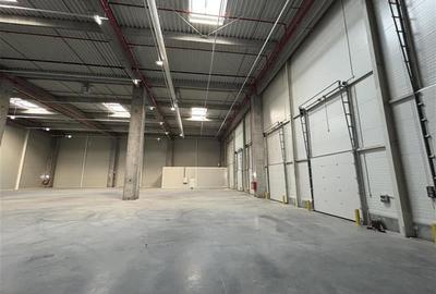 Vanzare depozit/hala/spatiu industrial Theodor Pallady - A2 - 10