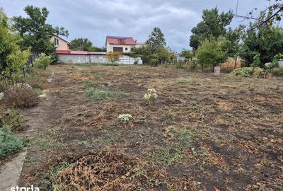 Casă cu 4 camere cu Teren 1400 Mp în Palazu Mare - 5