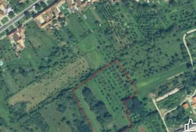 Teren de 13000 mp, în Glimboca - 1