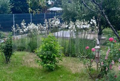 Casă cu 7 camere cu Teren 3000 Mp în Central - 6