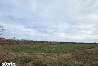 Teren de 5900 mp, în Burdea
