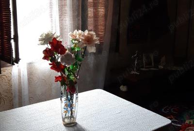 Vand casa in Bistra - 7