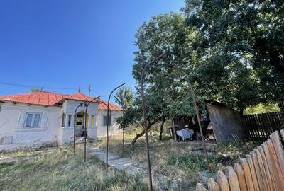 Vand casa si teren - Gliganu de Sus, Arges Vand casa si teren - Gliganu de Sus, Arges - 2