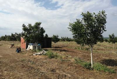 Teren de 49178 mp, în Slobozia Conachi - 7