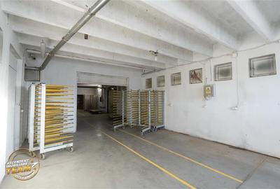 Spațiu comercial, de 1,341 mp, în Valea Crișului - 21