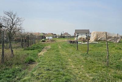 Spațiu comercial, în Chișirid - 1