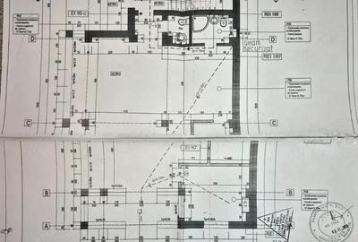 Spațiu comercial, de 600 mp, în Dristor - 1